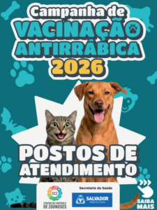 captura de tela 2026 07 20 140010