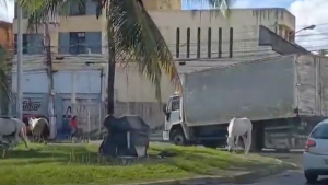 captura de tela 2024 04 16 074429