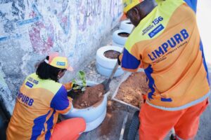limpurb ponto verde