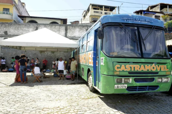 Castramóvel segue atendendo gratuitamente em Itapuã com serviços de castração para cães e gatos